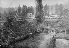 Farm, Aisne District, between c1915 and 1918. Creator: Bain News Service