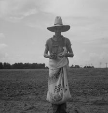Farm boy with sack full of boll weevils...off of cotton plants, Macon County, Georgia, 1937. Creator: Dorothea Lange