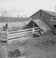 Farm buildings, slab construction, on new stump farm. Boundary County, Idaho, 1939. Creator: Dorothea Lange