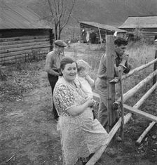 Farm family in the cut-over land, Priest River Valley, Bonner County, Idaho, 1939. Creator: Dorothea Lange