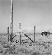 Farm for sale, Willow Creek area, Malheur County, Oregon, 1939. Creator: Dorothea Lange