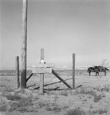 Farm for sale, Willow Creek area, Malheur County, Oregon, 1939. Creator: Dorothea Lange