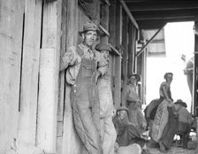 Farm hands - threshing day near Durham, North Carolina, 1936. Creator: Dorothea Lange