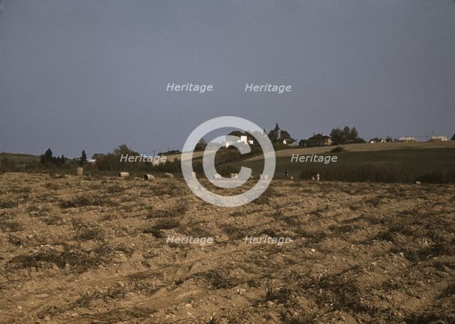 Farm in the vicinity of Van Buren, Aroostook County, Me., 1940. Creator: Jack Delano.