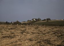 Farm in the vicinity of Van Buren, Aroostook County, Me., 1940. Creator: Jack Delano