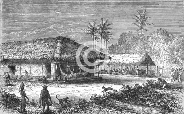 'Farm in Brazil; Rio De Janeiro and the Organ Mountains', 1875. Creator: Thomas Woodbine Hinchliff.