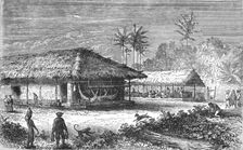 Farm in Brazil; Rio De Janeiro and the Organ Mountains 1875. Creator: Thomas Woodbine Hinchliff