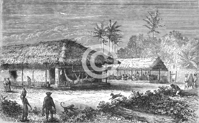 'Farm in Brazil; Rio De Janeiro and the Organ Mountains', 1875. Creator: Thomas Woodbine Hinchliff.