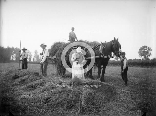 Farm labourers, Warden Hill, Northamptonshire, 1902. Artist: A Newton