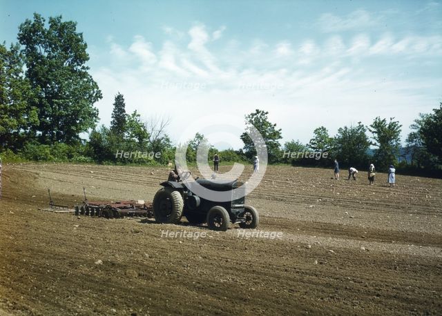 Farm owned by James Pompey, who 20 years ago came from Italy..., Southington, Connecticut, 1942. Creator: Charles Fenno Jacobs.