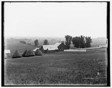 Farm scene near Arion, Boyer Valley, Iowa, c1898. Creator: Unknown