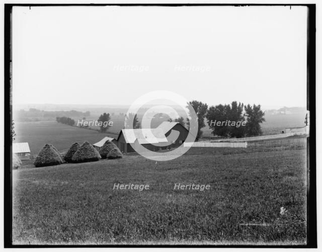 Farm scene near Arion, Boyer Valley, Iowa, c1898. Creator: Unknown.