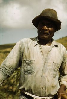 Farm Security Administration borrower, vicinity of Frederiksted, St. Croix, Virgin Islands, 1941. Creator: Jack Delano