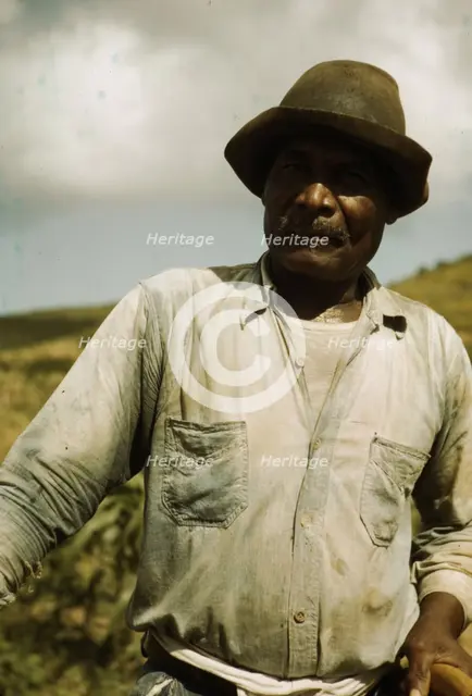 Farm Security Administration borrower, vicinity of Frederiksted, St. Croix, Virgin Islands, 1941. Creator: Jack Delano.