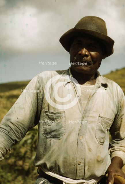Farm Security Administration borrower, vicinity of Frederiksted, St. Croix, Virgin Islands, 1941. Creator: Jack Delano.