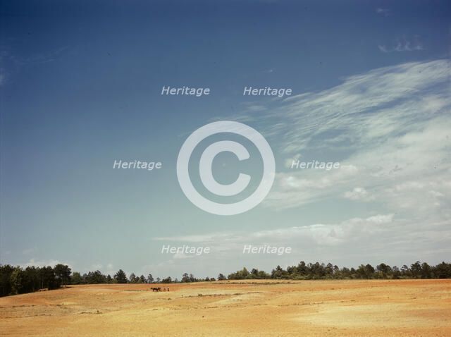 Farm Security Administration borrower plowing on the Jones farm, vicinity of Greshamville, Ga., 1941 Creator: Jack Delano.
