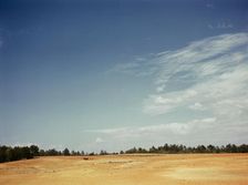 Farm Security Administration borrower plowing on the Jones farm, vicinity of Greshamville, Ga., 1941 Creator: Jack Delano
