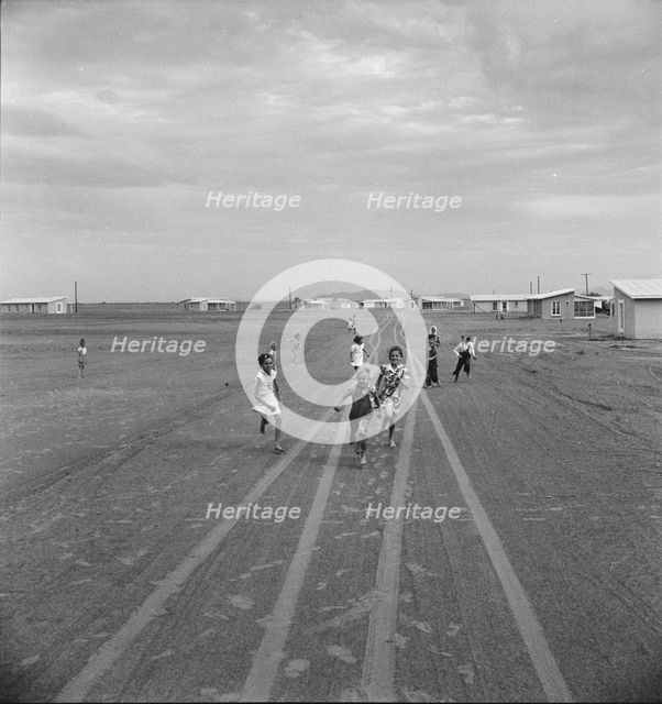 Farm Security Administration Casa Grande project, Arizona, 1938. Creator: Dorothea Lange.