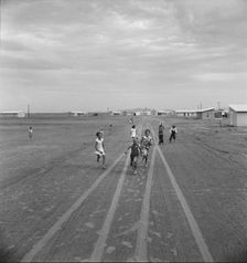 Farm Security Administration Casa Grande project, Arizona, 1938. Creator: Dorothea Lange