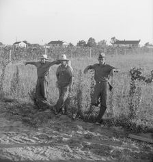 Farm Security Administration (FSA) cooperative farm, Lake Dick, Arkansas, 1939. Creator: Dorothea Lange