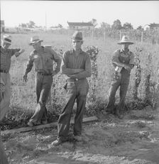 Farm Security Administration (FSA) cooperative farm, Lake Dick, Arkansas, 1939. Creator: Dorothea Lange