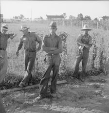 Farm Security Administration (FSA) cooperative farm, Lake Dick, Arkansas, 1939. Creator: Dorothea Lange