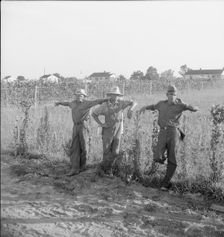 Farm Security Administration (FSA) cooperative farm, Lake Dick, Arkansas, 1938. Creator: Dorothea Lange