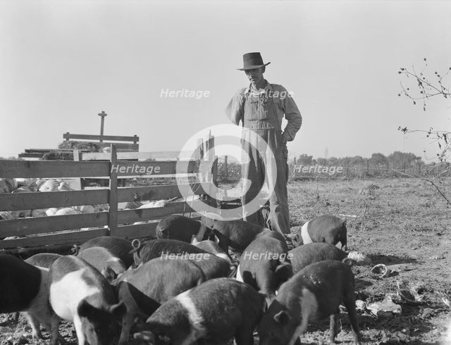 Farm Security Administration (FSA) rural rehabilitation client, Tulare County, California, 1938. Creator: Dorothea Lange.