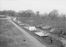 Farm Security Administration (FSA) temporary camp for migrants, Gridley, California, 1939. Creator: Dorothea Lange