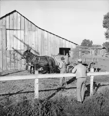 Farm Security Administration rural rehabilitation client, Tulare County, California, 1938. Creator: Dorothea Lange
