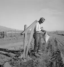 Farmer getting the morning mail, Gem County, Idaho, 1939. Creator: Dorothea Lange