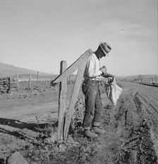 Farmer getting the morning mail, Gem County, Idaho, 1939. Creator: Dorothea Lange