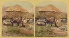 Farmer holding horse, large haystack in background, about 1860. Creator: Unknown