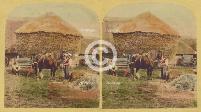 Farmer holding horse, large haystack in background, about 1860. Creator: Unknown.