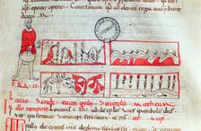 Farmer in sowing time. Miniature from Homilías de Beda codex from the second half of the 11th …