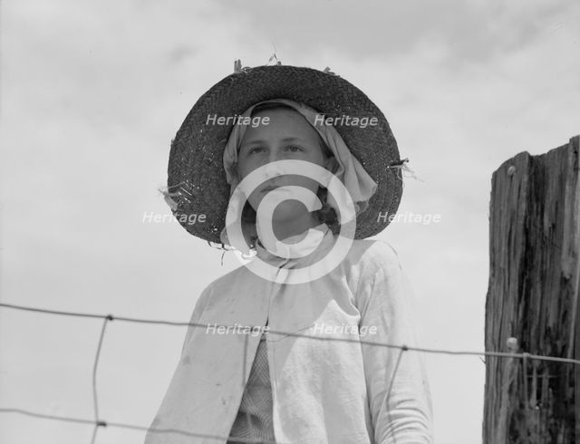 Farmer's daughter in the fields, farm in Georgia, 1937. Creator: Dorothea Lange.