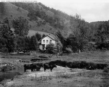 Farmer's home, Rolling Stone Valley, Minn., between 1880 and 1899. Creator: Unknown
