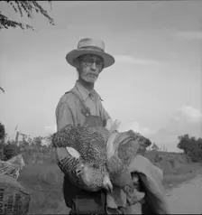 Farmer who has just moved into impoverished Greene County, Georgia from the Georgia hills, 1937. Creator: Dorothea Lange