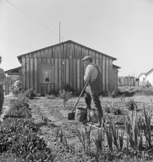 Farmer who has small plot...on outskirts of Salinas, CA, 1939. Creator: Dorothea Lange