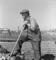 Farmer who has small plot...on outskirts of Salinas, CA, 1939. Creator: Dorothea Lange
