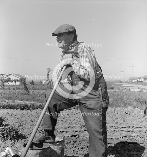 Farmer who has small plot...on outskirts of Salinas, CA, 1939. Creator: Dorothea Lange.