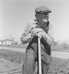 Farmer who has small plot...on outskirts of Salinas, CA, 1939. Creator: Dorothea Lange