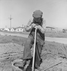 Farmer who has small plot...on outskirts of Salinas, CA, 1939. Creator: Dorothea Lange