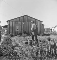 Farmer who has small plot...on outskirts of Salinas, CA, 1939. Creator: Dorothea Lange