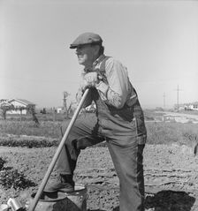 Farmer who has small plot...on outskirts of Salinas, CA, 1939. Creator: Dorothea Lange