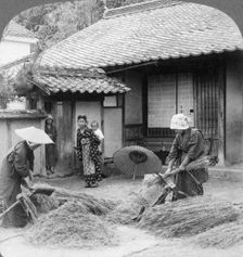 Farmers wives at work, Iwakuni, Japan, 1904.Artist: Underwood & Underwood