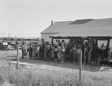 Farmers come to town on Saturday afternoon for auction sale...back street in Nyssa, Oregon, 1939. Creator: Dorothea Lange