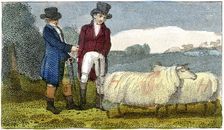 Farmers discussing Dishley (New Leicester) sheep, 1822