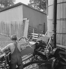 Farmers feeding corn into cooperatively..., near W Street at Carlton, Yamhill County, Oregon, 1939. Creator: Dorothea Lange