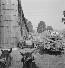 Farmers feeding corn into cooperatively owned..., near W Street at Carlton, Oregon, 1939. Creator: Dorothea Lange